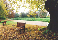 Strasse_Kluetz